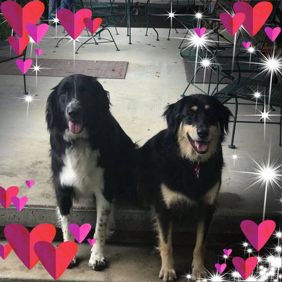 Meet your Posher, Jeffrey - Picture 1 of 1